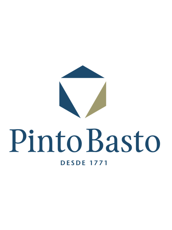Grupo Pinto Basto