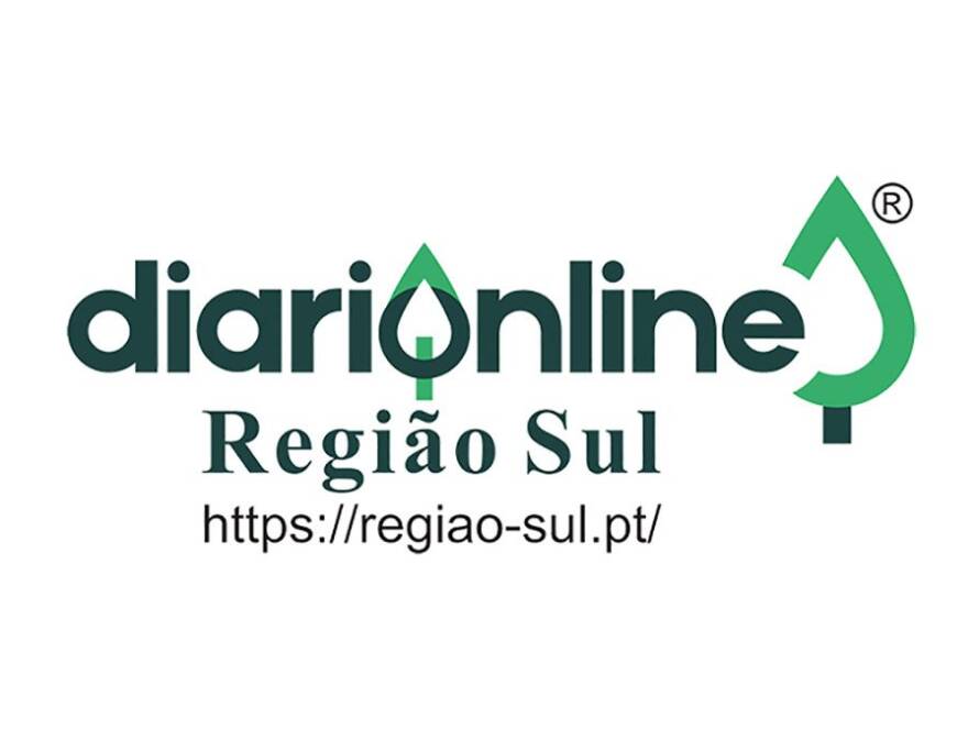 diario online regiao sul